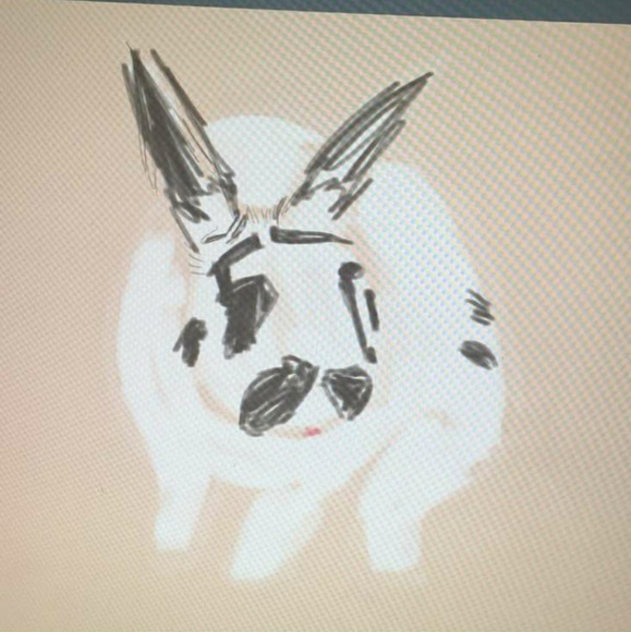 Meet your Posher, Aaron - Picture 1 of 1